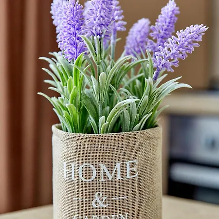 Astoria Seaside * Năvodari