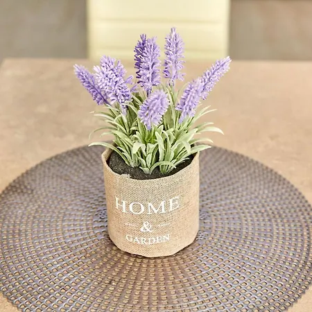 Astoria Seaside Daire
